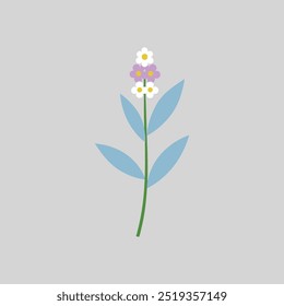 This vector artwork beautifully captures the Butterfly Bush flower with intricate details and vibrant colors, ideal for nature-inspired designs and botanical-themed creative projects.