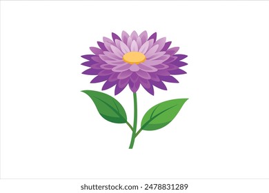 This vector artwork illustration beautifully captures the delicate charm of the aster flower. Each petal is meticulously detailed, showcasing the intricate structure and vibrant colors of the bloom.