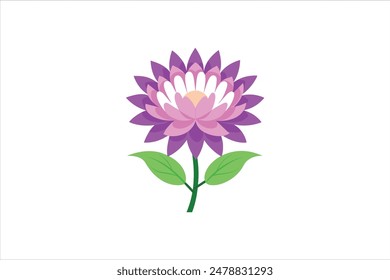 This vector artwork illustration beautifully captures the delicate charm of the aster flower. Each petal is meticulously detailed, showcasing the intricate structure and vibrant colors of the bloom.