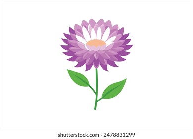 This vector artwork illustration beautifully captures the delicate charm of the aster flower. Each petal is meticulously detailed, showcasing the intricate structure and vibrant colors of the bloom.