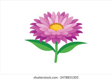 This vector artwork illustration beautifully captures the delicate charm of the aster flower. Each petal is meticulously detailed, showcasing the intricate structure and vibrant colors of the bloom.