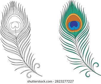 This vector artwork presents two versions of a peacock feather — one in black-and-white outline and the other in full vibrant color. Ideal for use in decorative designs, art projects, textile patterns, and nature-themed branding.