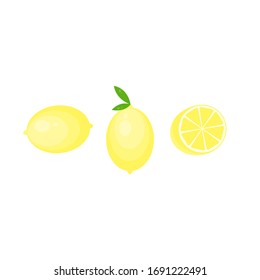 This is vector citrus fruit. Lemon isolated on white background.