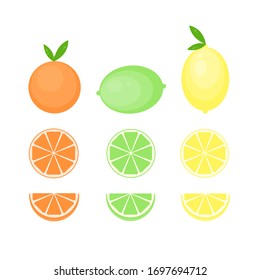 This is vector citrus fruits. Lemon, lime, orange, mandarine isolated on white background.
