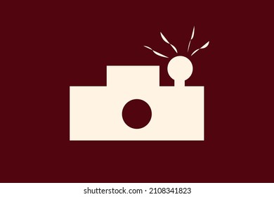 
This vector contains a camera image
