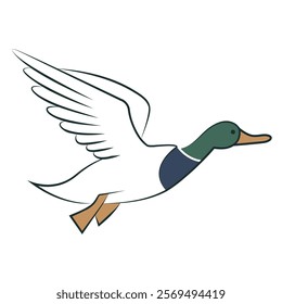 This vector design features a stylized illustration of a flying duck. The duck is depicted with a green head, white body, and brown feet. 