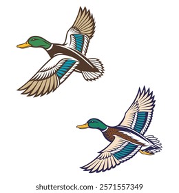 This vector design features a vibrant and stylized depiction of two ducks in flight. Both ducks showcase striking colors with green heads and yellow beaks.