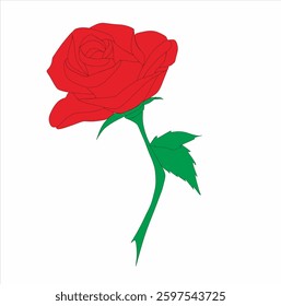 This vector features an illustration of a red rose flower with green stem and leaves