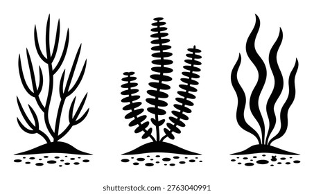 This is a vector file of a set of three different seaweed illustrations. The seaweeds are depicted in black silhouette against a white background, with varying shapes and sizes. Each seaweed has a base with small rocks scattered around it. The vector file is fully editable and scalable, making it suitable for various design applications. It is in EPS10 format, ensuring high-quality scalability. The illustration can be used for a range of purposes, including backgrounds, branding, and print materials.
