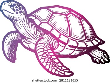 This vector graphic features a detailed line-art illustration of a sea turtle, presented in a side profile perspective. The design utilizes a vibrant color gradient shifting from deep blue and purple at the head and front flippers to a rich magenta and dark pink towards the shell and hind legs. The turtle's anatomy is accentuated by clean, defined outlines, depicting realistic textures on its skin and a structured, segmented carapace