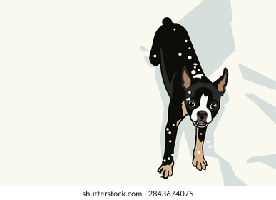 This vector graphic features