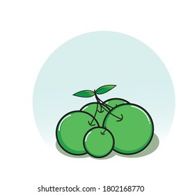 This is a vector graphic of green cherry fruit that looks fresh and is so delicious that people will be attracted to it.