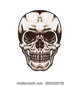 This vector illustration is about a skull.