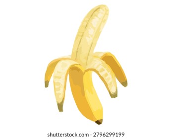 This is a vector illustration of a banana being peeled. It can be used as a diagram or illustration to explain fruit.