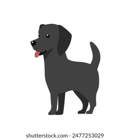 En esta Ilustración vectorial, un cachorro Labrador retriever negro de pie sobre un fondo blanco. El perrito mira a la izquierda con la cabeza ligeramente levantada.