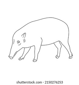 This is a vector illustration of cartoon Cute Pig With coloring book pages picture,line art,outline drawing