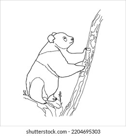 This is a vector illustration of cartoon Cute Panda With coloring book pages images ,Panda line art,Panda outline drawing  and vector art