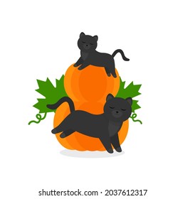 This is a vector illustration. Cat on pumpkin isolated on a white background.