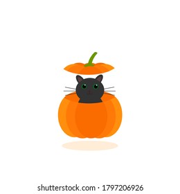 This is a vector illustration. Cat in pumpkin isolated on white background.