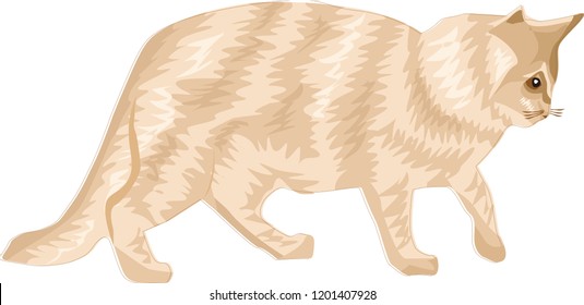 This is the vector illustration of cat. Using solid color that use can use or modify for your own need. Just download it

