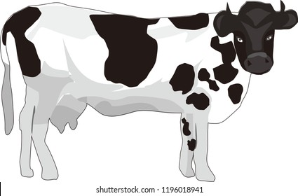 This is the vector illustration of cow. Using solid color that use can use or modify for your own need. Just download it

