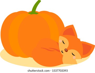 This is vector illustration. Cute fox and pumpkin. Fox flat style.
