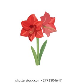 This vector illustration depicts a brightly colored amaryllis flower. The image shows a detailed rendering of the flower with bold red petals. The composition features a green stem and leaves. It is suitable for diverse design projects needing a floral theme, such as advertising or decorative uses.