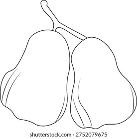 This vector illustration features a clean and minimal outline design of a Java Apple fruit. Java apple, also known as wax apple or water apple, is a popular tropical fruit widely grown in Southeast Asia and South Asia. The fruit is known for its bell-like shape, smooth skin, and refreshing juicy taste. It is often eaten fresh and is valued for its light sweetness and high water content. This simple line style vector icon is perfect for use in food-related graphics, tropical fruit collections, agriculture projects, healthy diet concepts, restaurant menus, mobile apps, and educational materials. The editable vector format ensures easy scaling and customization for both digital and print designs.