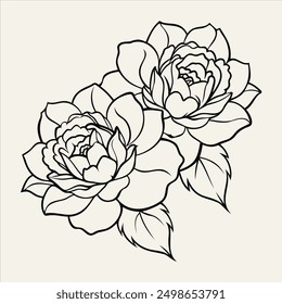 This vector illustration features a detailed line art depiction of a peony (Paeonia) flower. Perfect for floral-themed designs, this artwork showcases intricate petal and leaf details