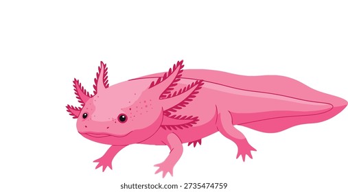 This vector illustration features a smiling pink axolotl with prominent feathery gills, a charming representation of this unique creature.
