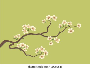 This is the vector illustration of a flowered sakura, japanese cherry tree