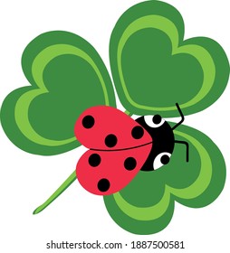 This is a  vector illustration of ladybug  on a leaf of shamrock. Cute insect and shamrock  have a shape of hearts, they are bright and funy.