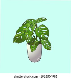 
This vector illustration is a plant whose daunya is perforated, usually in Indonesia it is called the widow plant