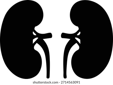 This vector illustration presents a black silhouette of human kidneys symbolizing anatomy and urinary health in a clear, minimalistic style. The image conveys medical and biological clarity.