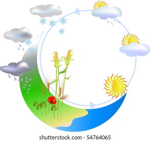 This vector illustration represent the water cycle, from mountains to see, from clouds to rich soil.
