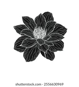 
This vector illustration showcases a Dahlia flower in the minimalist Shilluti art style. The design emphasizes intricate, stylized petals with fine linework and organic curves .