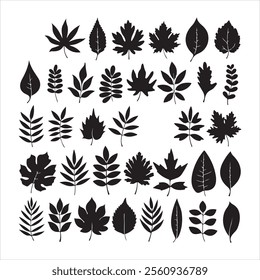 This vector illustration showcases a diverse collection of leaf silhouettes