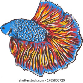 This is a vector image of "Cupang" fish. A unique fish you can find in Indonesia.