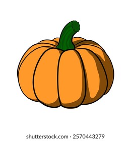 This vector image depicts a typical pumpkin shape with a bright orange color.