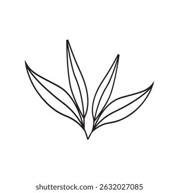 This vector image features an illustration of a four-leaf plant,