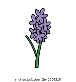 This vector image showcases a simple, cartoon-style hyacinth flower with striking purple petals and green leaves, perfect for illustrations or design projects.