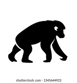 This vector image shows a walking chimpanzee.