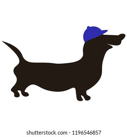 This is a vector image of the silhouette of a dachshund in a hat