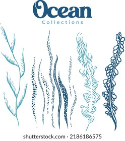 this is a vector marine plant illustration. Nature seaweed silhouette illustration. you can change the color you want.