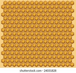This vector picture represents a honey background