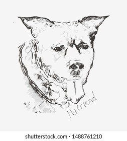 This vector print is for t-shirt. Graphic design  for screen-printing press in typography. Dog.