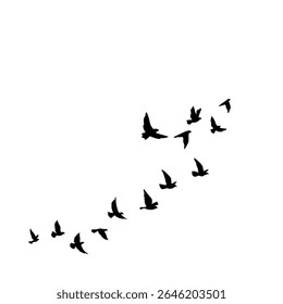 This vector set features elegant silhouettes of a flock of birds soaring against a clean white background. Ideal for tattoo concepts or nature-inspired artwork, the collection evokes a sense of grace,