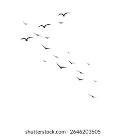 This vector set features elegant silhouettes of a flock of birds soaring against a clean white background. Ideal for tattoo concepts or nature-inspired artwork, the collection evokes a sense of grace,