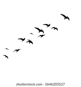 This vector set features elegant silhouettes of a flock of birds soaring against a clean white background. Ideal for tattoo concepts or nature-inspired artwork, the collection evokes a sense of grace,