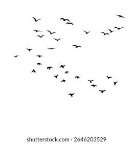 This vector set features elegant silhouettes of a flock of birds soaring against a clean white background. Ideal for tattoo concepts or nature-inspired artwork, the collection evokes a sense of grace,